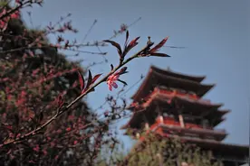 小说：美女曾远远观望过小伙绘画，芳心暗许，还让人打听他的来路图片