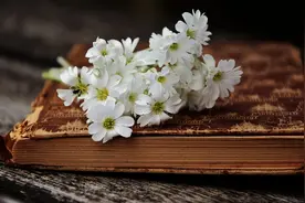 小说：三国，开局便准备拿下蔡文姬，御赐婚约图片