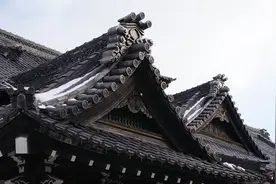 小说：主角穿越大唐，拜师孙思邈图片