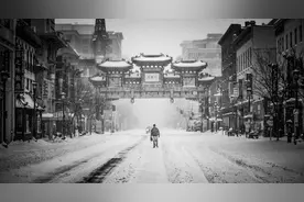 小说：穿越古代，傻子的他展现才华，当地富豪下聘礼想让他娶亲图片