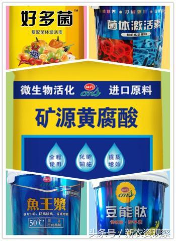 五大新品发布——烟台泓源剑指2018功能性肥料市场