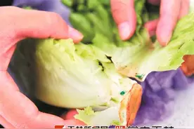 菜叶上的蓝色颗粒究竟是何物？图片