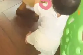 张子萱一岁女儿萌态十足 帮做家务逗狗狗超可爱图片