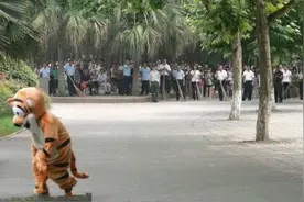 老虎不发威，就是橘猫啊图片