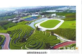 雅居乐民森迪茵湖小镇今日亮相图片