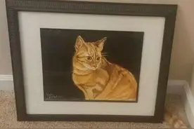 「潍·幽默」"论抓迷藏，我最在行了！"图片