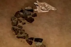 “我们叫龙的传人”，这个说法是怎样产生的图片