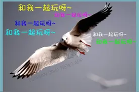 拯救周末！昆明周边初冬游玩攻略请收好图片