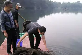集中整治河道地笼 还鱼类安全生存环境图片