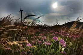 下周推荐｜带你领略音乐与摄影艺术的“双剑合璧”图片