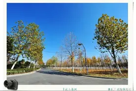 阜城三角洲初冬景色美图片
