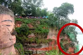 乐山大佛山崖搭脚手架干啥？景区：预防性保护 不影响游览图片