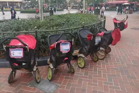 迪士尼's 推车指南图片