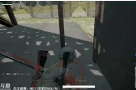 绝地求生周莉莉在哪直播 直播地址分享图片