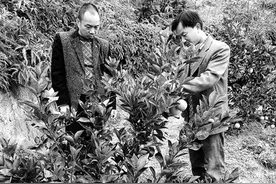 他为患病兄弟撑起一个家——于都吴云石用爱书写手足情深图片