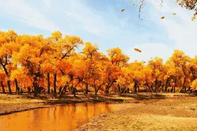 霜降｜美爆啦！南宁这些地方的秋天颜值竟然那么高！图片