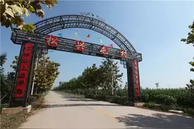 高密一村一校皆上“国字号”图片