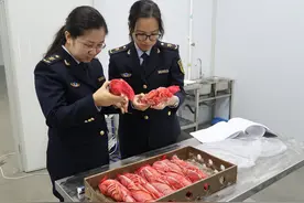 吃货看过来！首批冷冻波士顿龙虾抵甬 据说味道无比鲜美图片