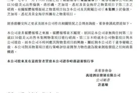 万达澄清50亿美元出售海外项目：响应了第三方但没进行磋商图片