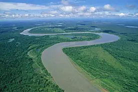 别让“中间人”摆弄了图片