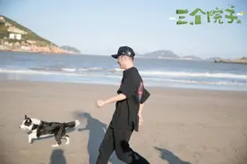同是海边遛狗！陈赫被狗遛 林更新被狗宠图片