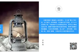 今日小雪丨气寒将雪话雪魂图片