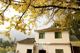 “小雪”虽至义乌入冬尚需时日 未来几天气温平稳图片