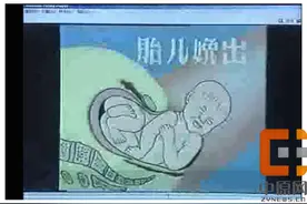 敬畏生热爱活，郑州47中让生命之花尽情绽放图片