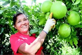 思南：小康路上 不落一户图片