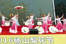 2016砀山梨花节隆重开幕图片