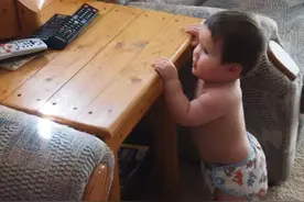 一岁混血小魔王的故事图片