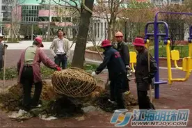 为民办实事 南通市区今年再建11个小游园图片
