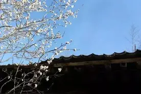 他是白水人，他打响了西北反清的第一枪！图片