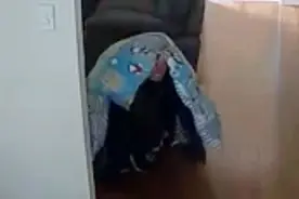 奇葩!新西兰小偷披儿童被子躲避摄像头图片