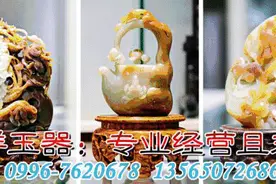 巴州招聘223名医疗卫生人员，若羌招聘23名公安图片