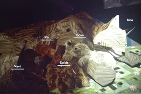 Shelter 2：有一种成长的结局叫放手图片