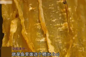 鱼胶在当地是个宝，鳘鱼的鱼胶高达几千元一斤，鱼胶酿成名菜视频封面