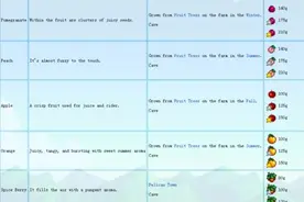 星露谷物语stardew valley洞穴选什么 山洞选什么图片