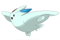 口袋妖怪复刻波克基斯种族值详解 波克基斯技能解析图片