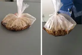 可乐加泡面真的会引发胃胀气吗？图片