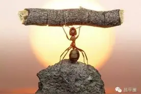 集结号昌平正能量，你我都是传播者！图片