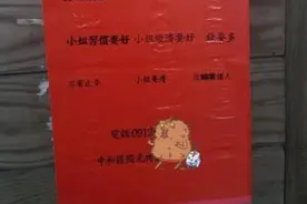 台媒：台湾现奇葩租房广告 限单身、胸大、钱多图片