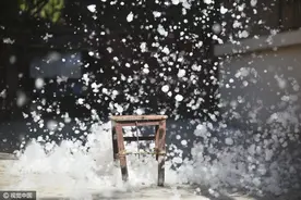 天津：柳絮飘舞满天飞 飞絮如雪落一地图片
