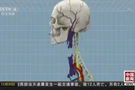 揭秘！三维动画展示“换头术”如何进行视频封面