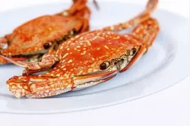 孕妇最不能碰的食物有哪些图片