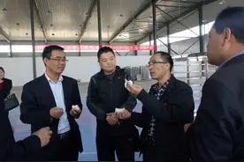 宁夏试机成功！万杰智能马铃薯馒头生产线。图片