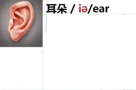 快速背单词：耳朵ear你的耳朵your ear我的耳朵my ear