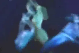 国外都传疯了，实拍游泳遇到美人鱼图片