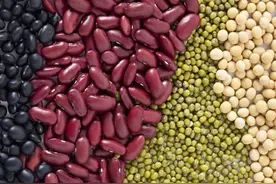 放久了的豆子你怎么处理？扔了？太可惜！和宝宝一起做豆画！图片