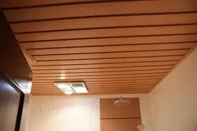 生态木吊顶是什么？商家绝对给不了超美吊顶设计方案！图片